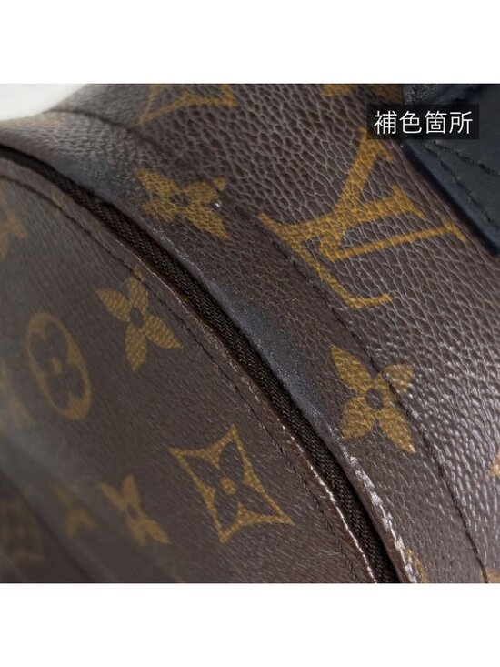 Louis Vuitton Palm Spring Backpack Mini Monogram Brown Black main image 10